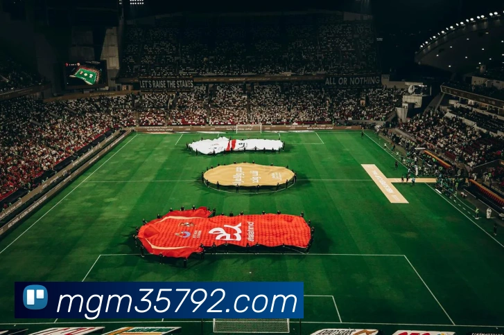 美高梅mgmAPP 封面图